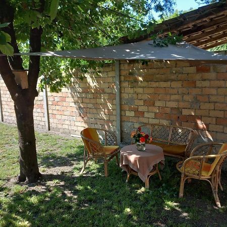 Apartman Woolf Senta Exterior photo