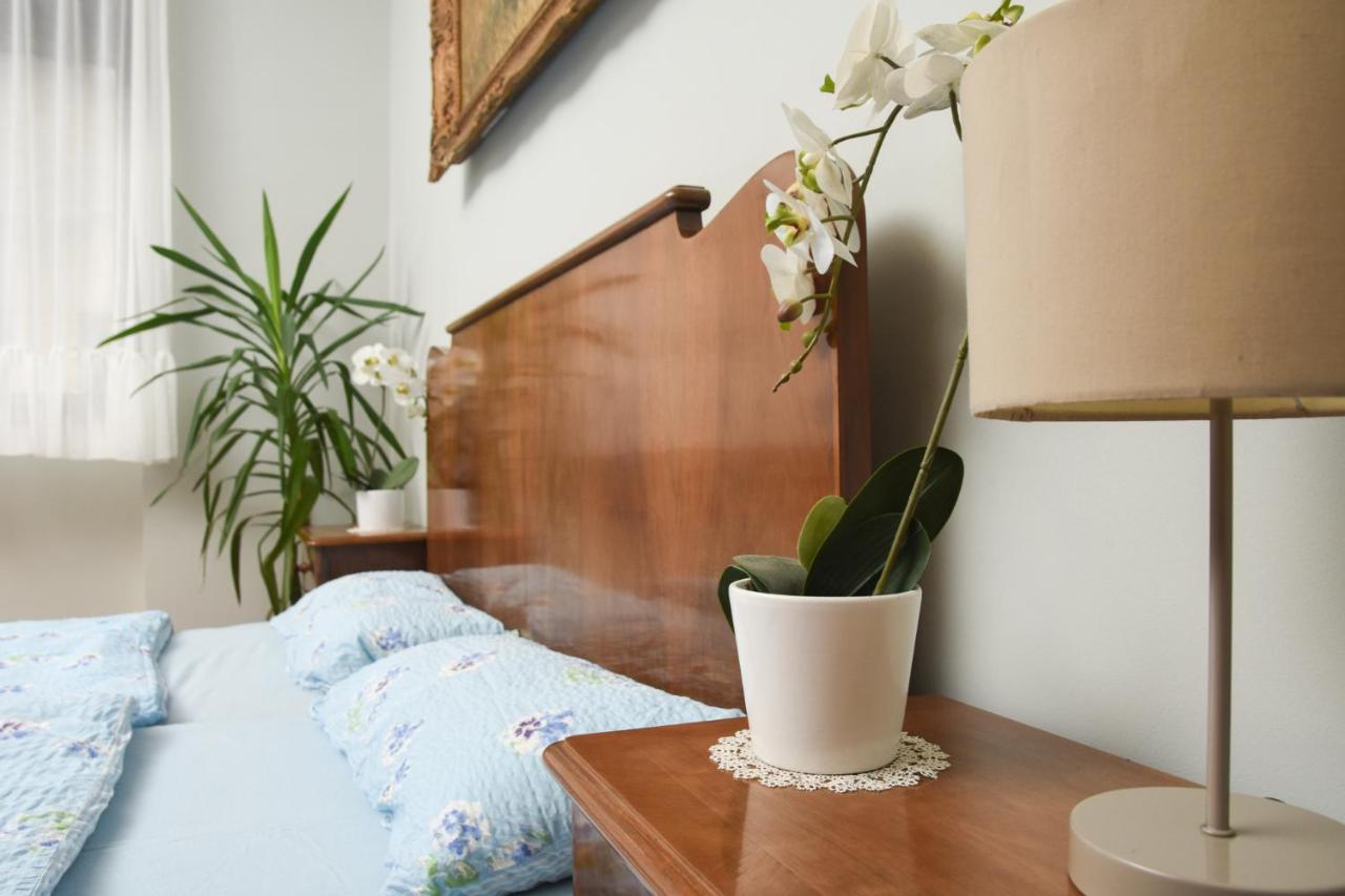 Apartman Woolf Senta Exterior photo